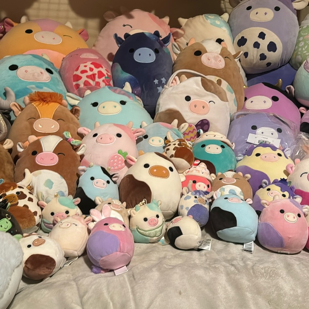 70 cow squishmallow bundle VERY RARE. - Picture 9 of 13